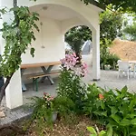 Simic * טרוגיר