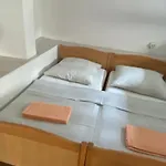 Apartment Simic *